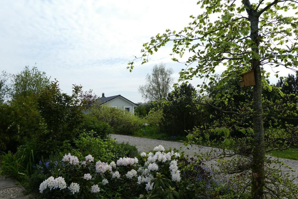 Ferienhaus-Silbermoewe Kappeln Eksteriør billede